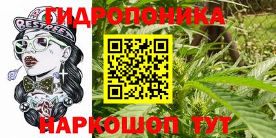 кокс Краснодар